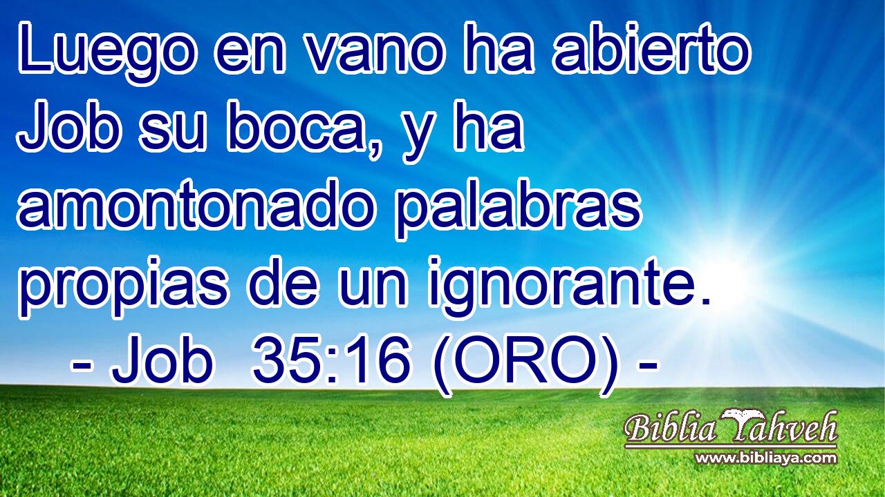  Luego en vano ha abierto Job su boca, y ha amontonado palabras propias de un ignorante. 