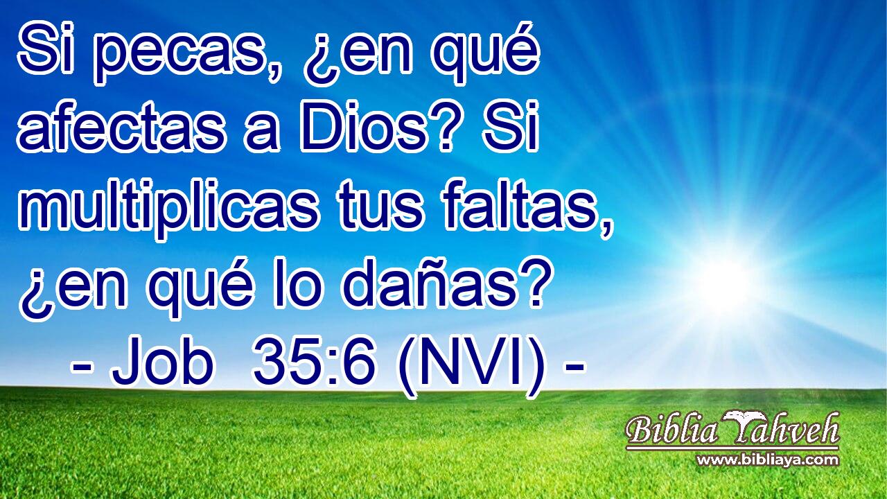  Si pecas, ¿en qué afectas a Dios? Si multiplicas tus faltas, ¿en qué lo dañas? 