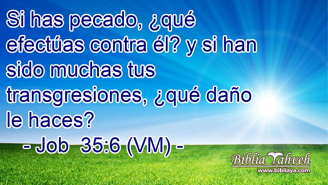  Si has pecado, ¿qué efectúas contra él? y si han sido muchas tus transgresiones, ¿qué daño le haces? 