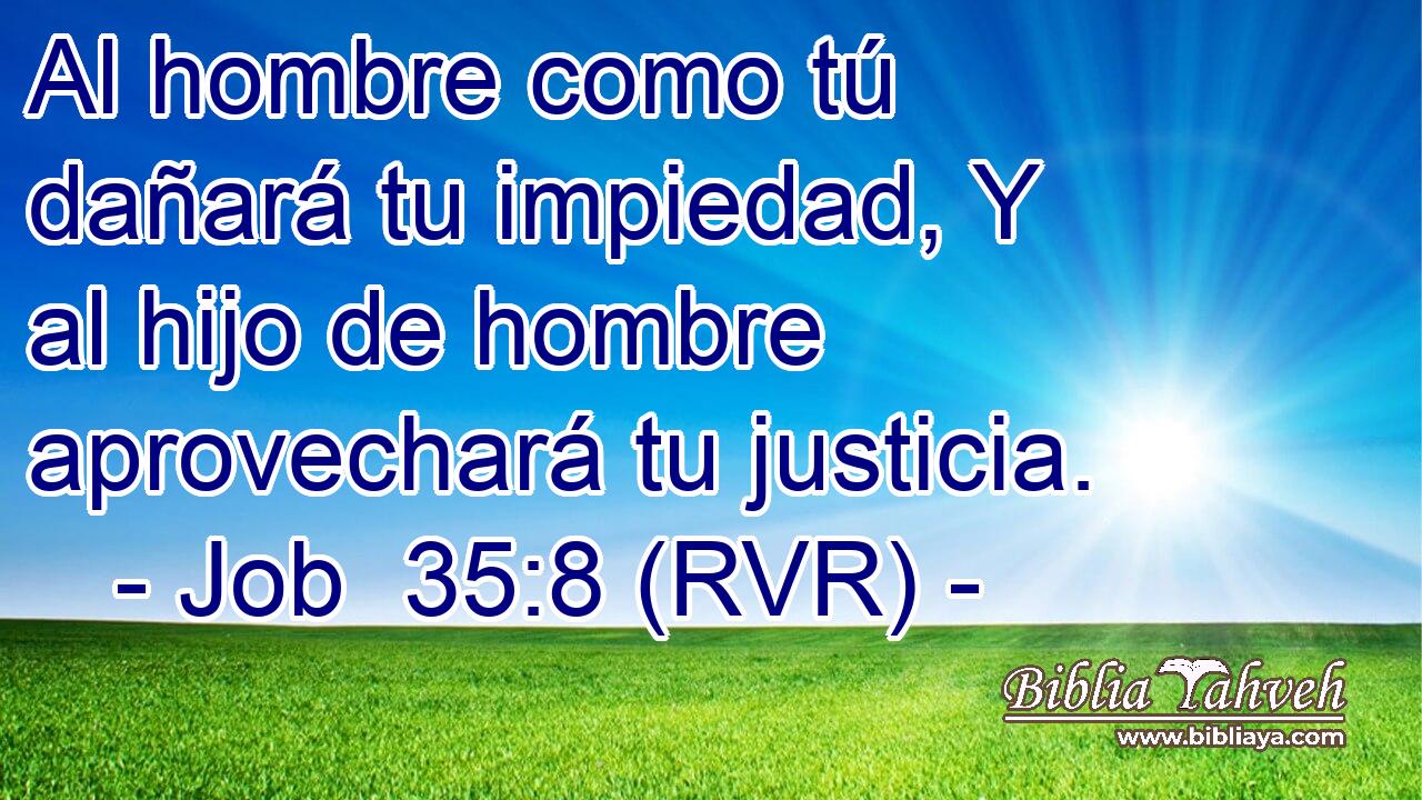 Al hombre como tú dañará tu impiedad, Y al hijo de hombre aprovechará tu justicia.