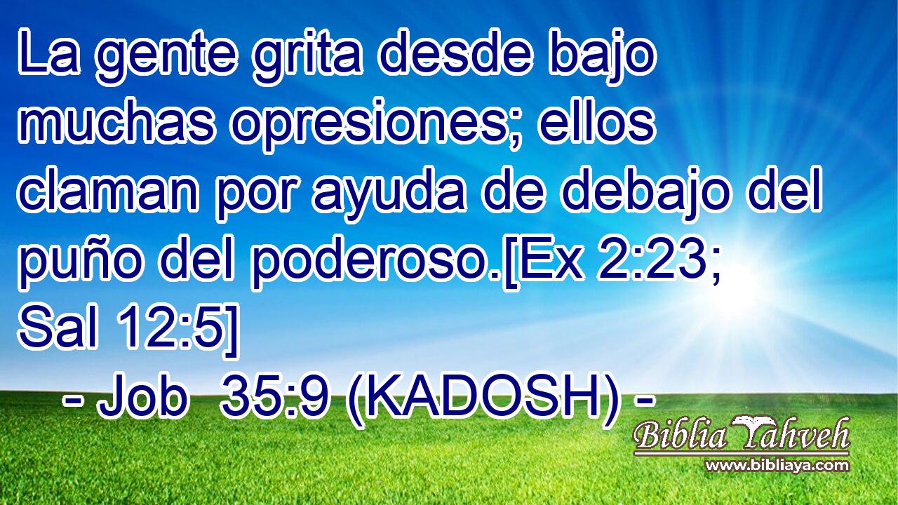 La gente grita desde bajo muchas opresiones; ellos claman por ayuda de debajo del puño del poderoso.[Ex 2:23; Sal 12:5] 