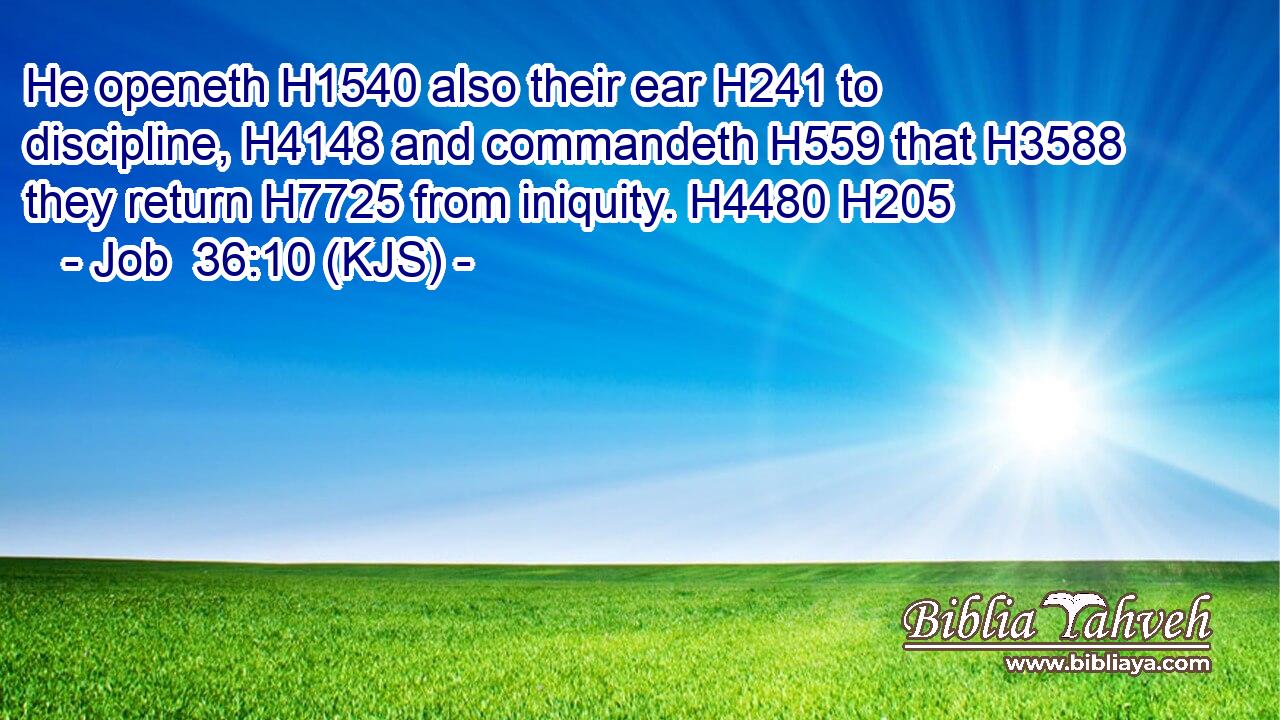 He openeth H1540 also their ear H241 to discipline, H4148 and commandeth H559 that H3588 they return H7725 from iniquity. H4480 H205