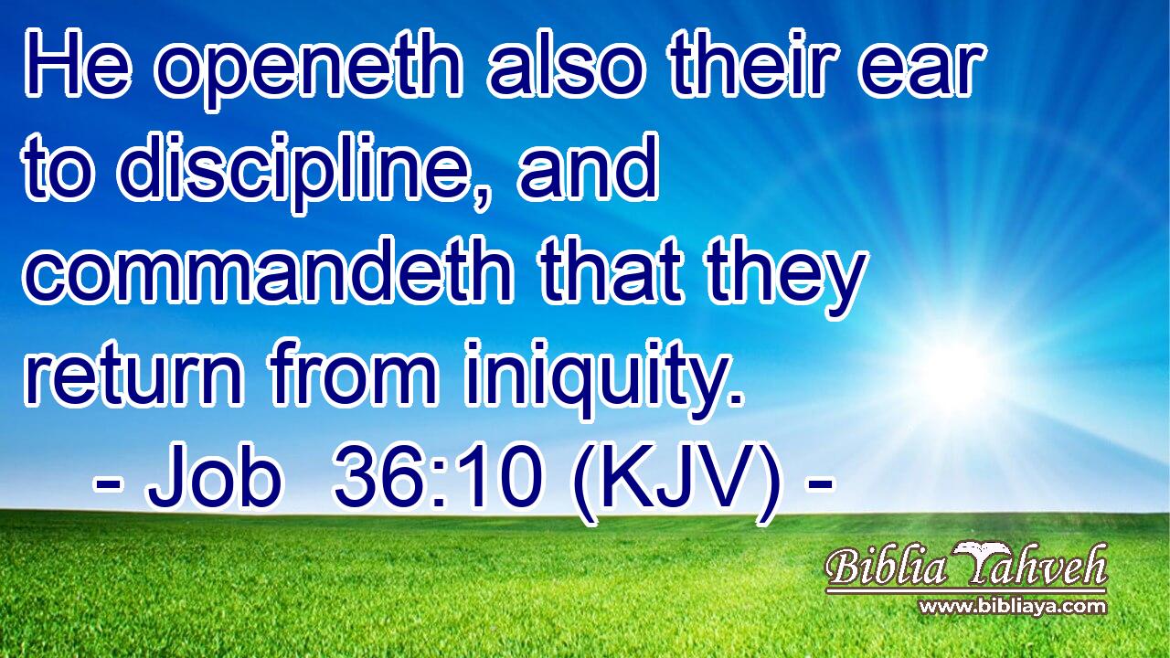 He openeth also their ear to discipline, and commandeth that they return from iniquity.