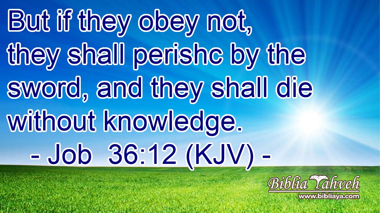 But if they obey not, they shall perishc by the sword, and they shall die without knowledge.