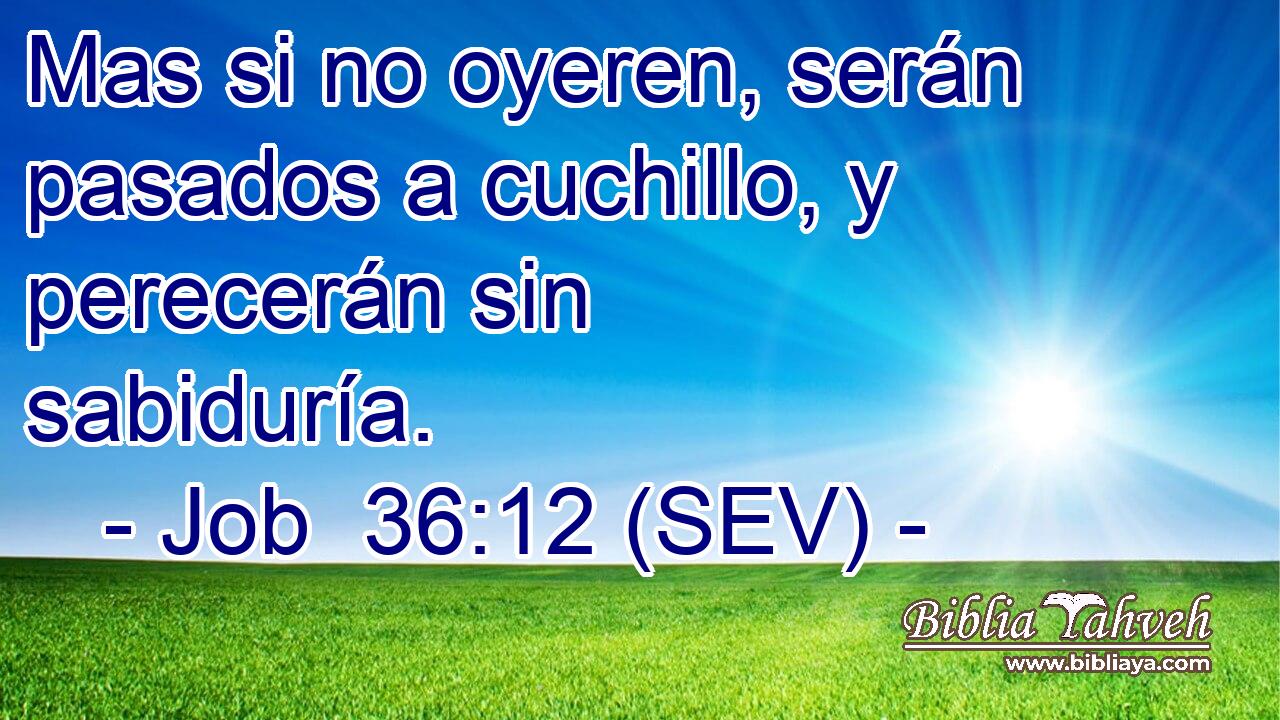 Mas si no oyeren, serán pasados a cuchillo, y perecerán sin sabiduría.