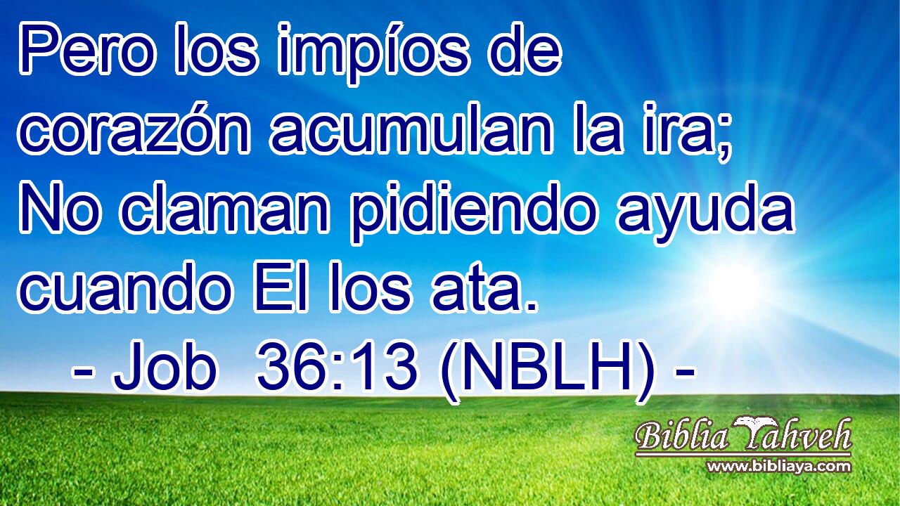  Pero los impíos de corazón acumulan la ira; No claman pidiendo ayuda cuando El los ata. 