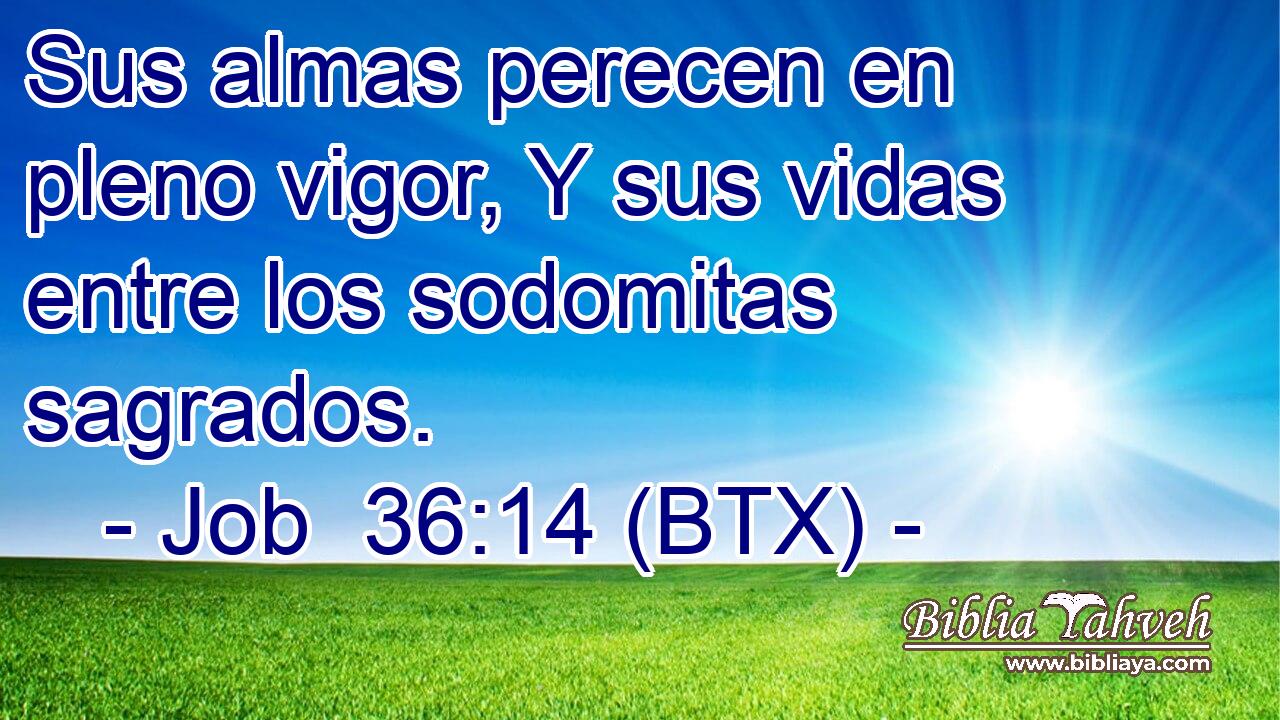Sus almas perecen en pleno vigor, Y sus vidas entre los sodomitas sagrados.