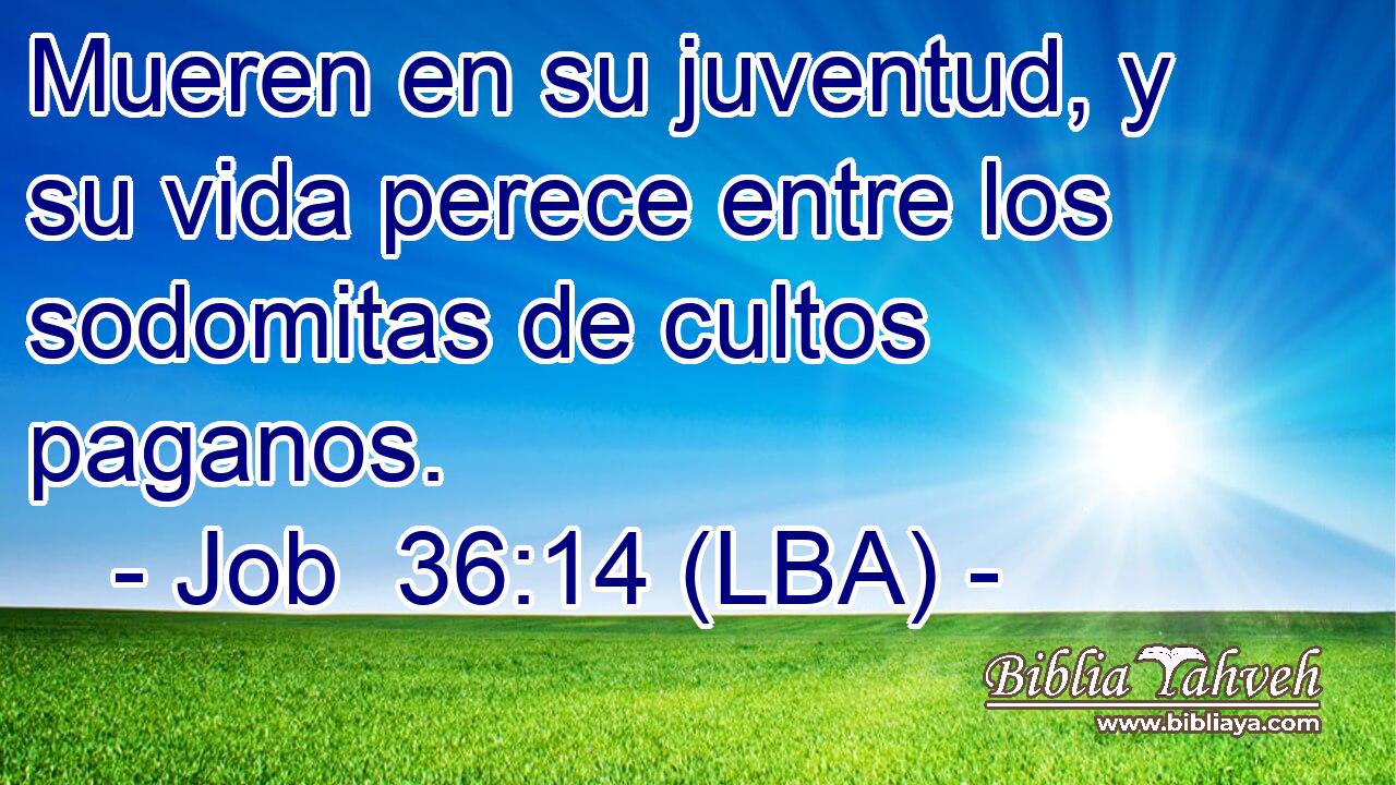 Mueren en su juventud, y su vida perece entre los sodomitas de cultos paganos.