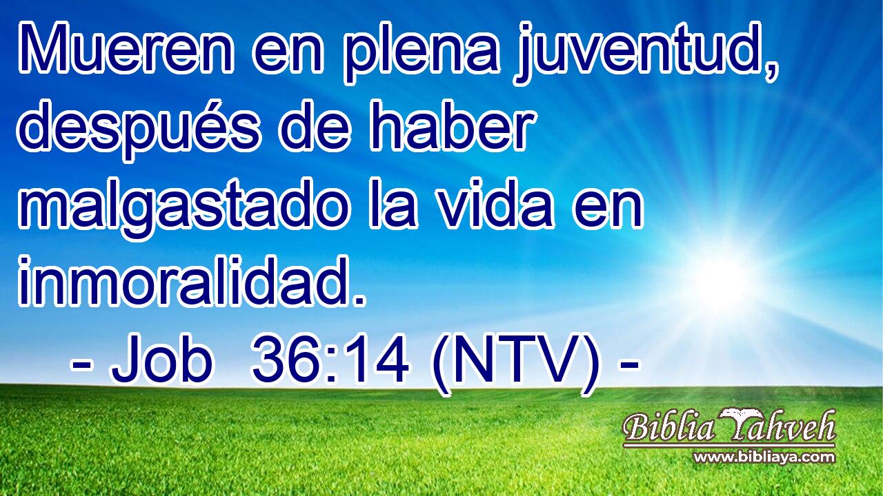 Mueren en plena juventud, después de haber malgastado la vida en inmoralidad.
