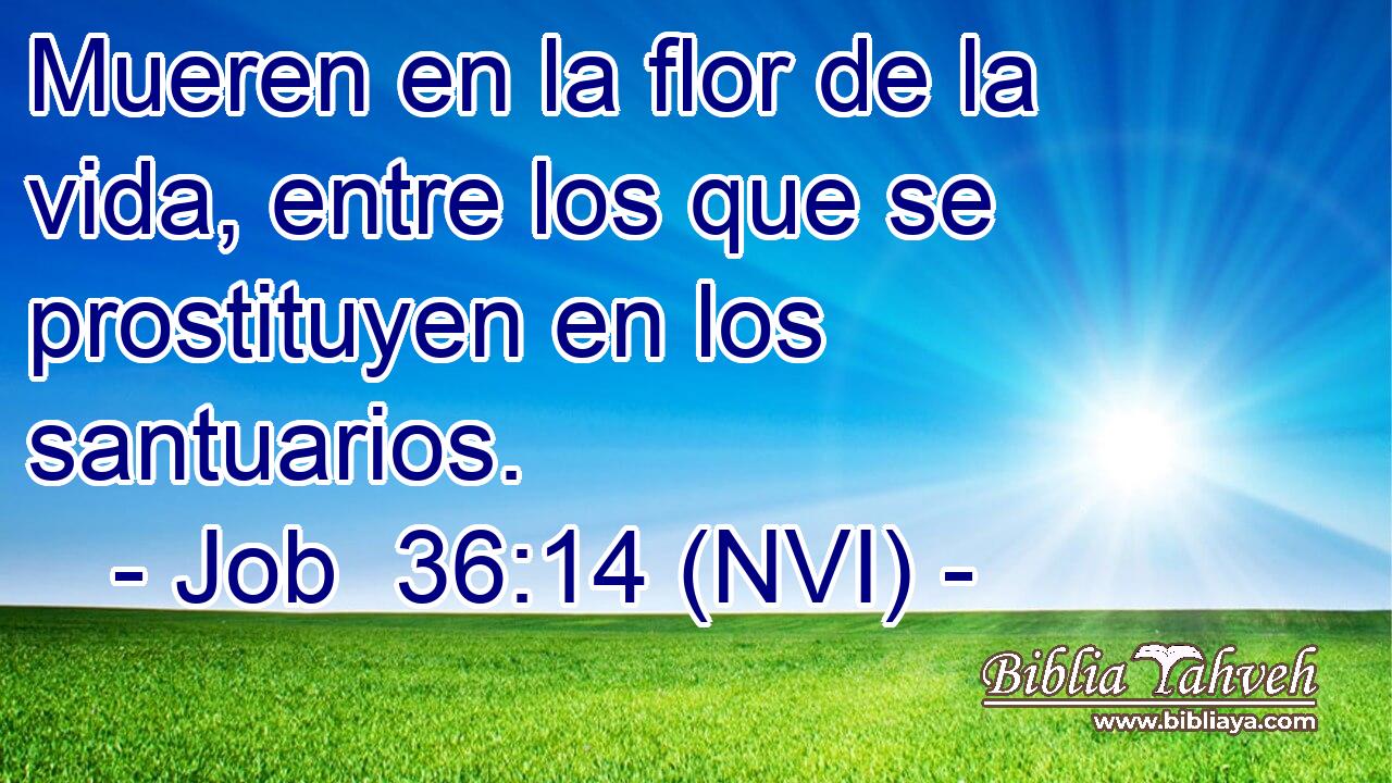  Mueren en la flor de la vida, entre los que se prostituyen en los santuarios. 