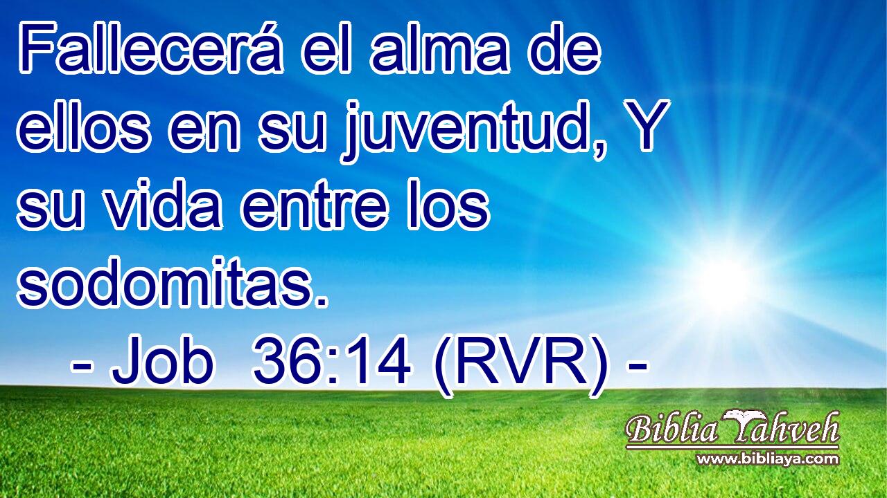 Fallecerá el alma de ellos en su juventud, Y su vida entre los sodomitas.