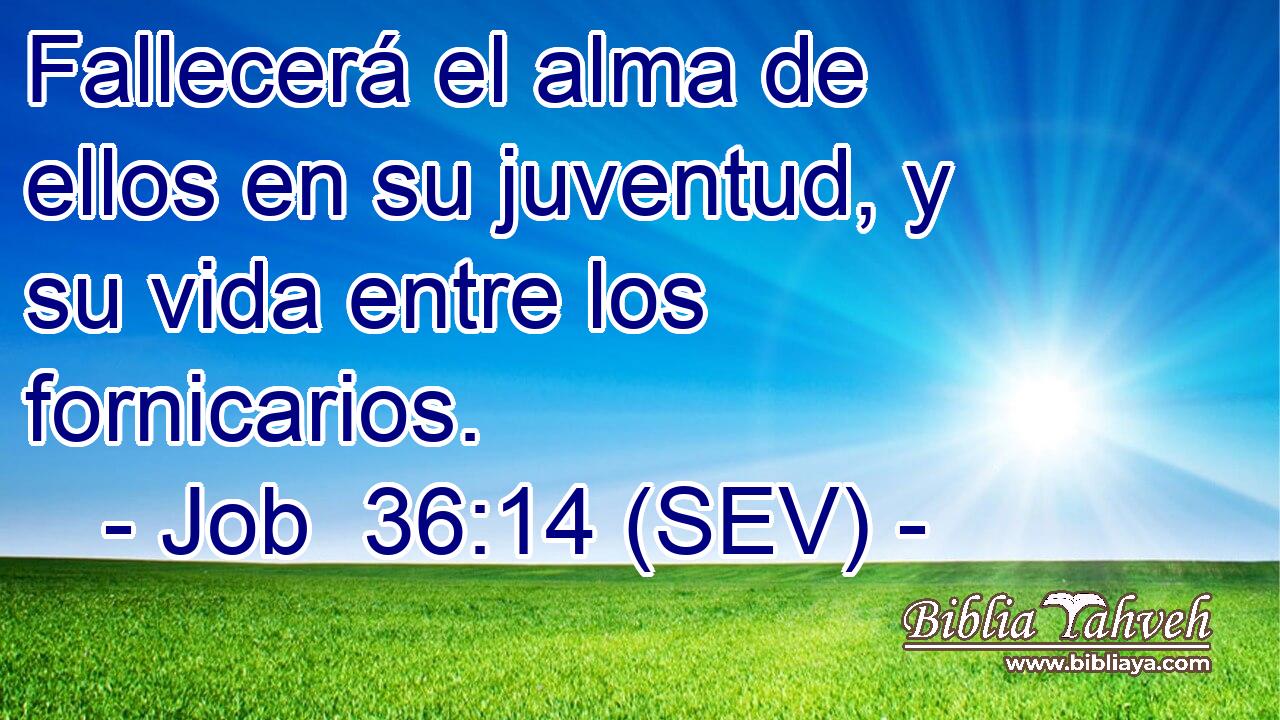 Fallecerá el alma de ellos en su juventud, y su vida entre los fornicarios.