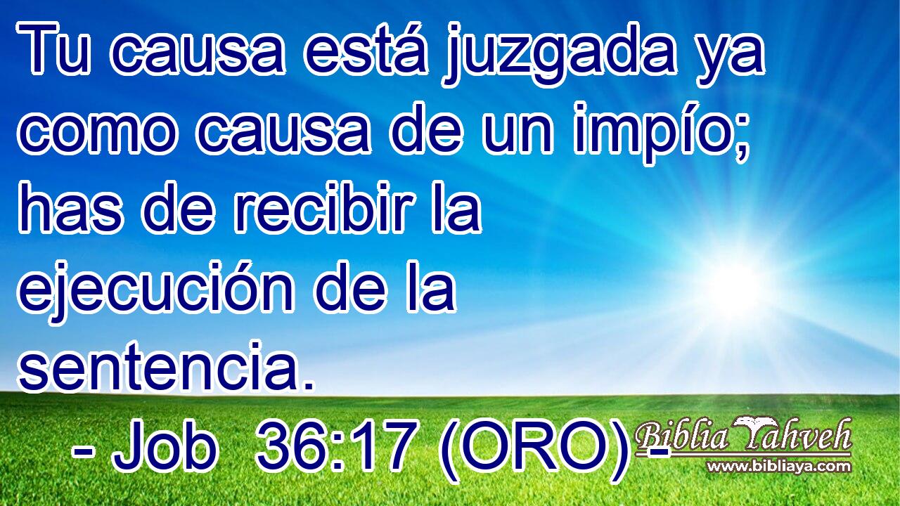  Tu causa está juzgada ya como causa de un impío; has de recibir la ejecución de la sentencia. 