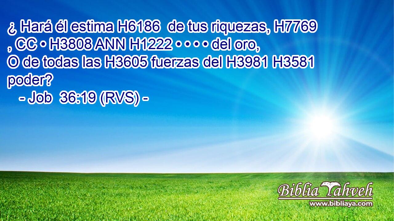 ¿ Hará él estima H6186  de tus riquezas, H7769 , CC • H3808 ANN H1222 • • • • del oro, O de todas las H3605 fuerzas del H3981 H3581 poder? 
