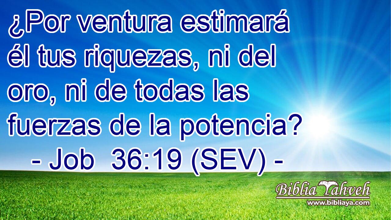 ¿Por ventura estimará él tus riquezas, ni del oro, ni de todas las fuerzas de la potencia?