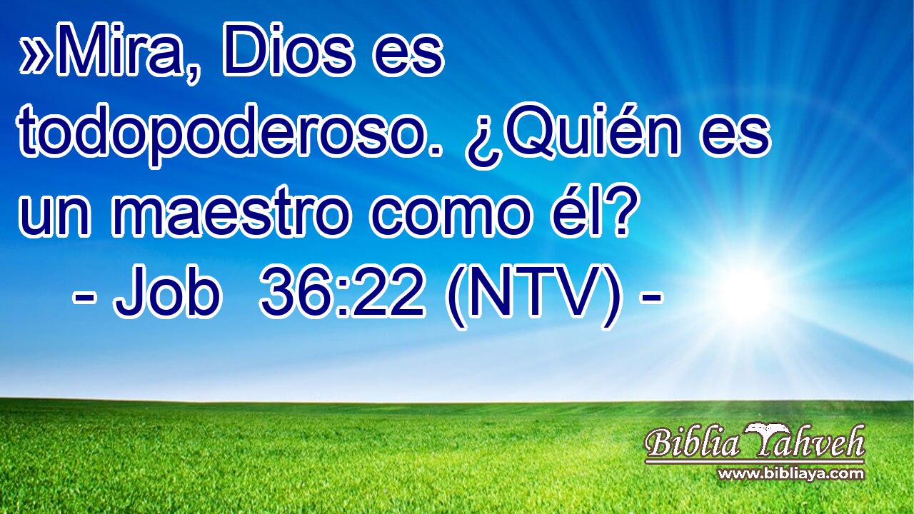 »Mira, Dios es todopoderoso. ¿Quién es un maestro como él?