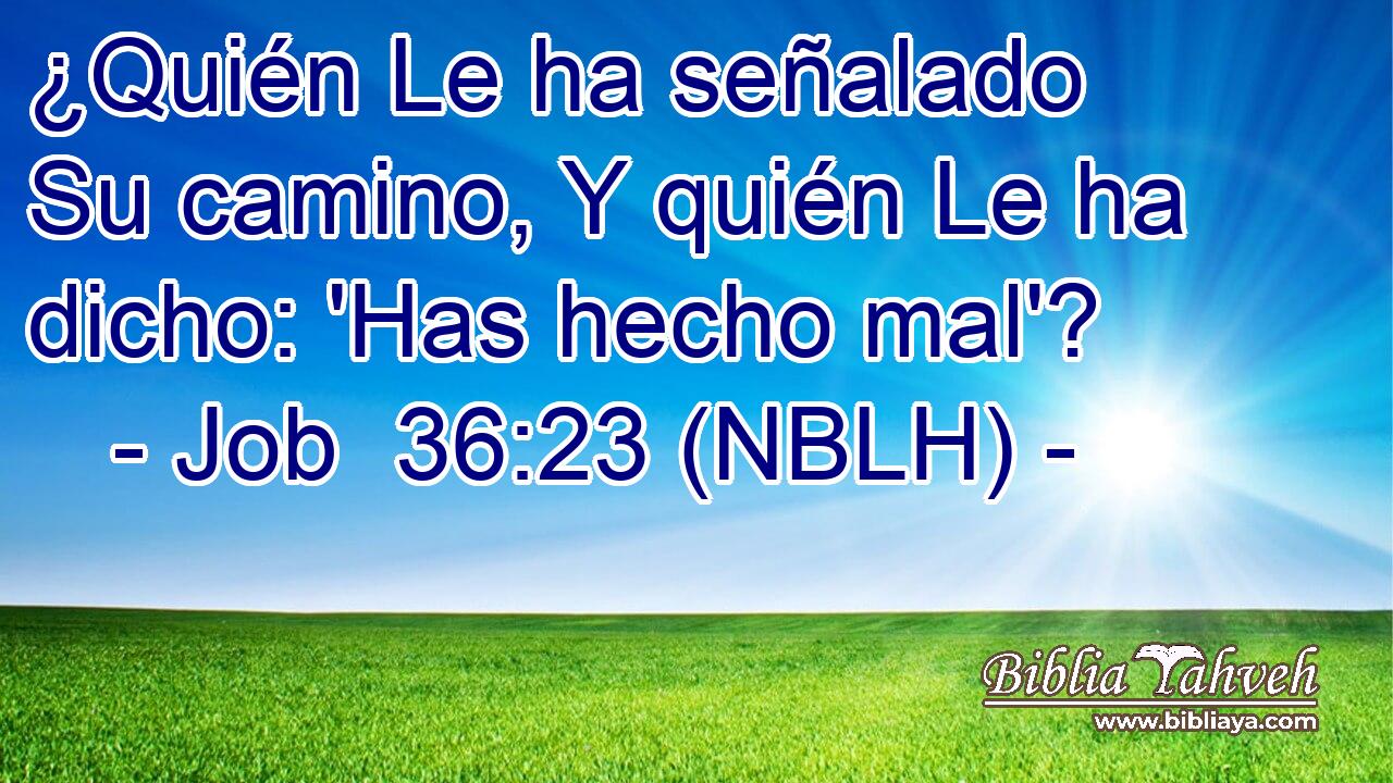  ¿Quién Le ha señalado Su camino, Y quién Le ha dicho: 'Has hecho mal'? 