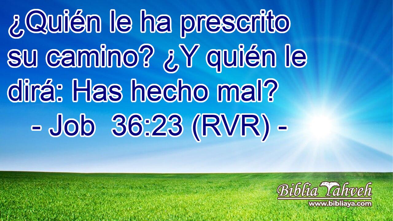 ¿Quién le ha prescrito su camino? ¿Y quién le dirá: Has hecho mal?