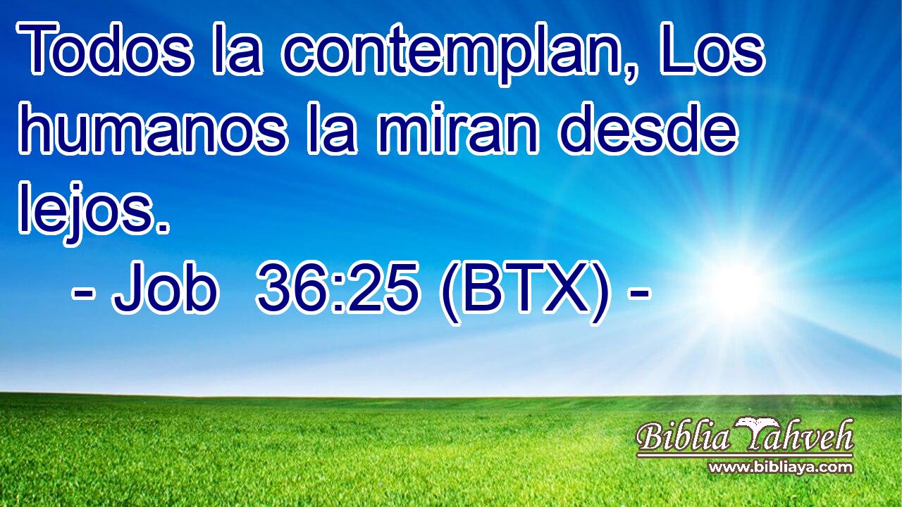Todos la contemplan, Los humanos la miran desde lejos.