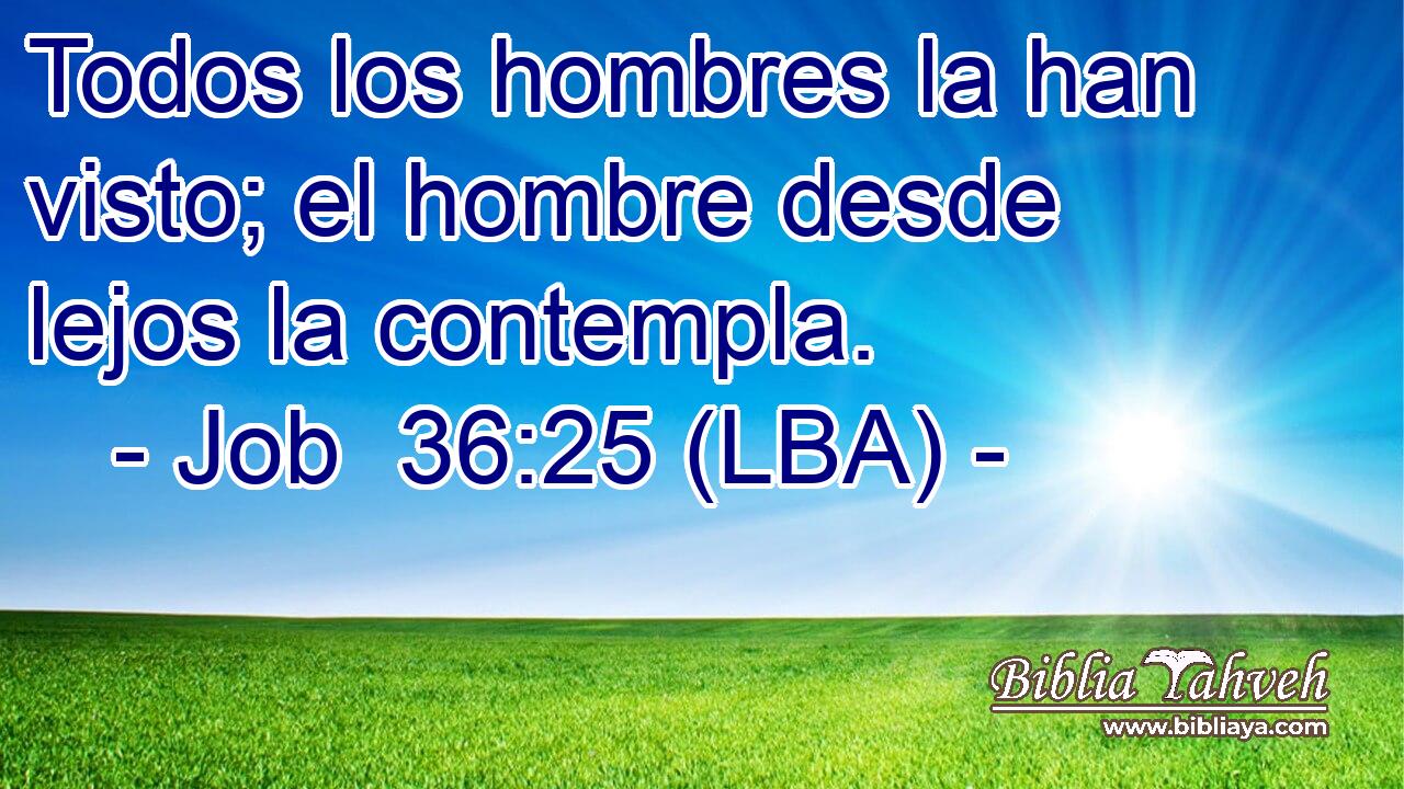 Todos los hombres la han visto; el hombre desde lejos la contempla.