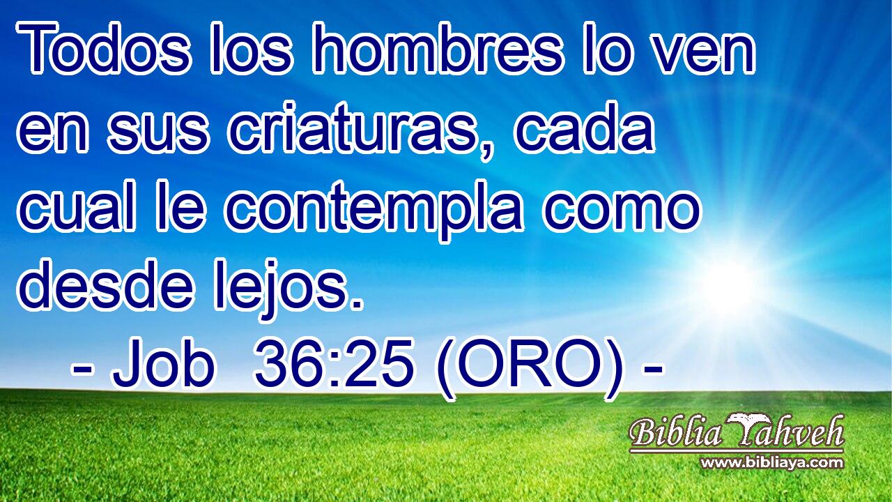 Todos los hombres lo ven en sus criaturas, cada cual le contempla como desde lejos. 