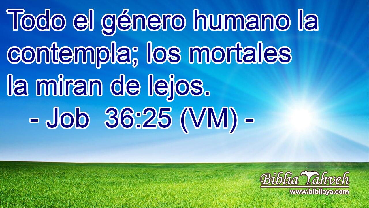  Todo el género humano la contempla; los mortales la miran de lejos. 