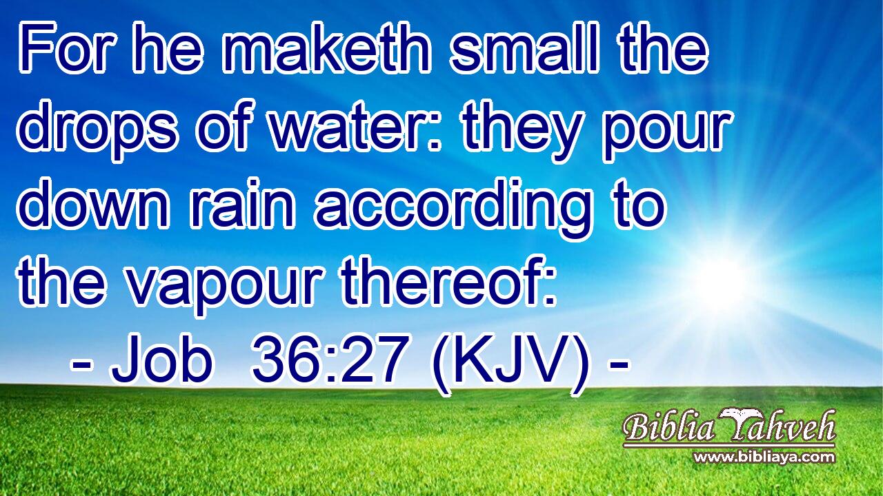 For he maketh small the drops of water: they pour down rain according to the vapour thereof: