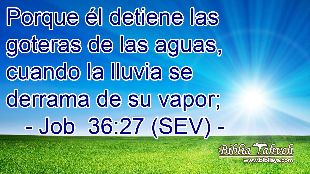 Porque él detiene las goteras de las aguas, cuando la lluvia se derrama de su vapor;