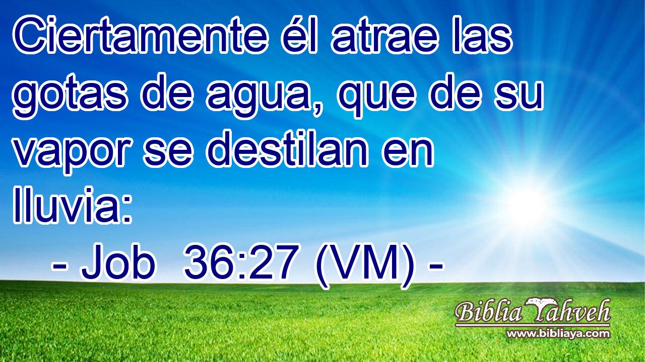  Ciertamente él atrae las gotas de agua, que de su vapor se destilan en lluvia: 