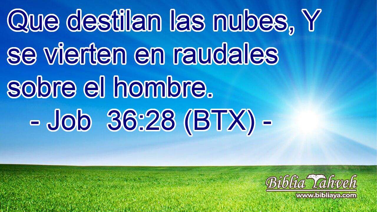 Que destilan las nubes, Y se vierten en raudales sobre el hombre.