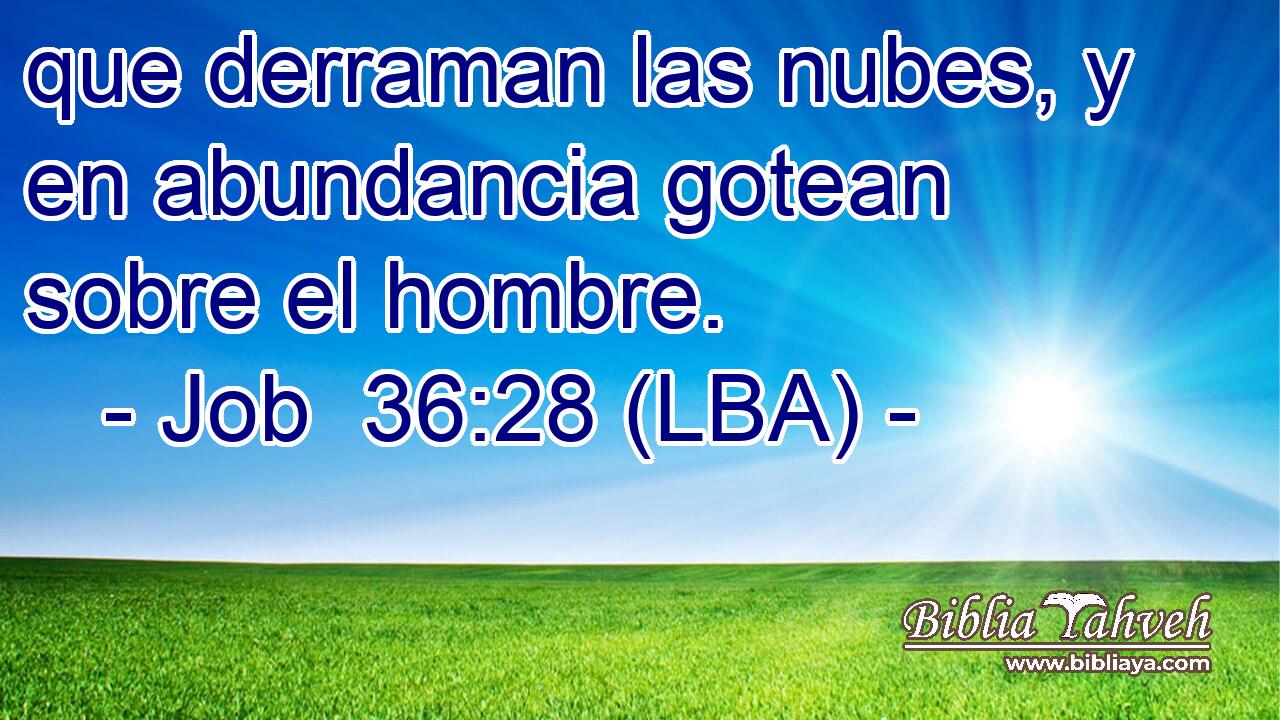 que derraman las nubes, y en abundancia gotean sobre el hombre.
