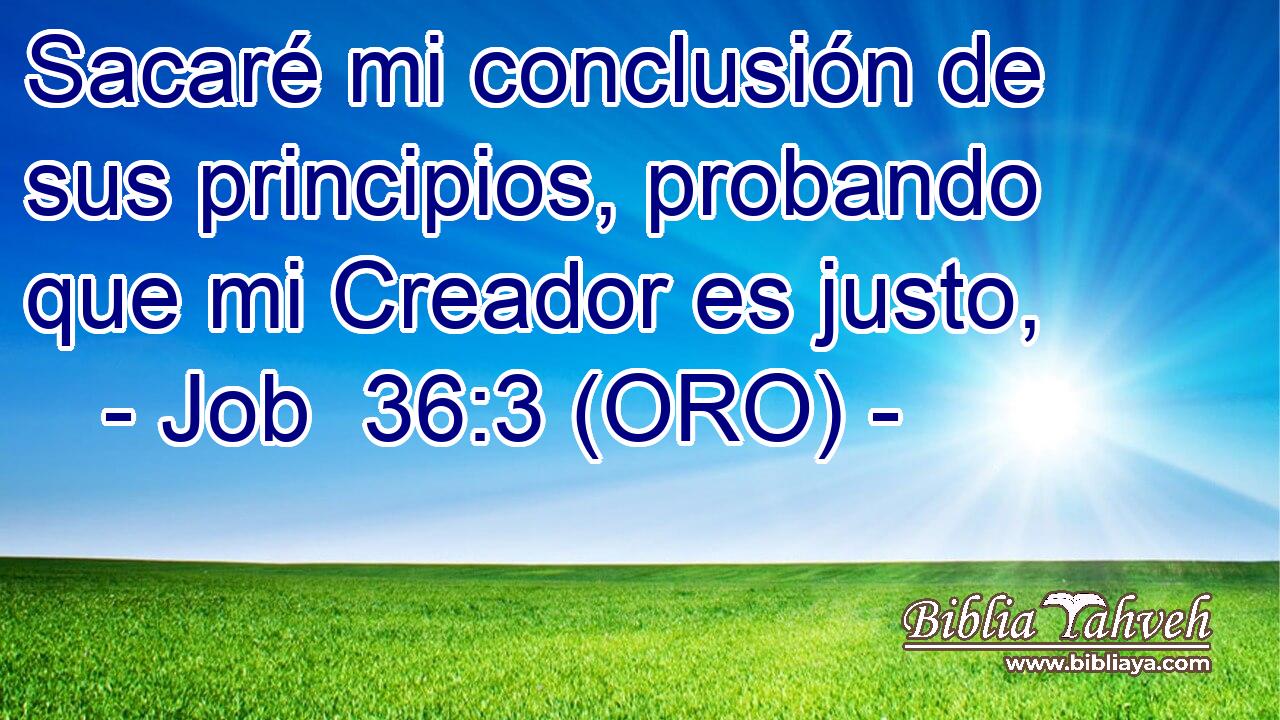  Sacaré mi conclusión de sus principios, probando que mi Creador es justo, 