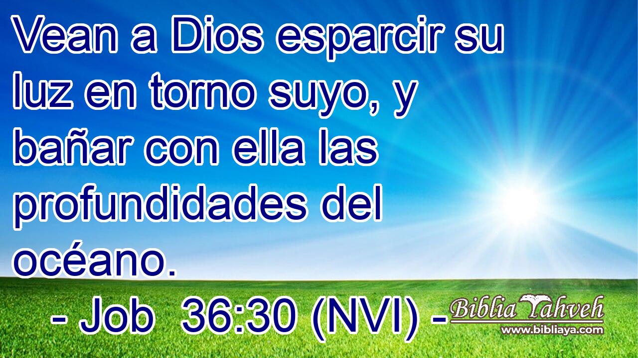  Vean a Dios esparcir su luz en torno suyo, y bañar con ella las profundidades del océano. 