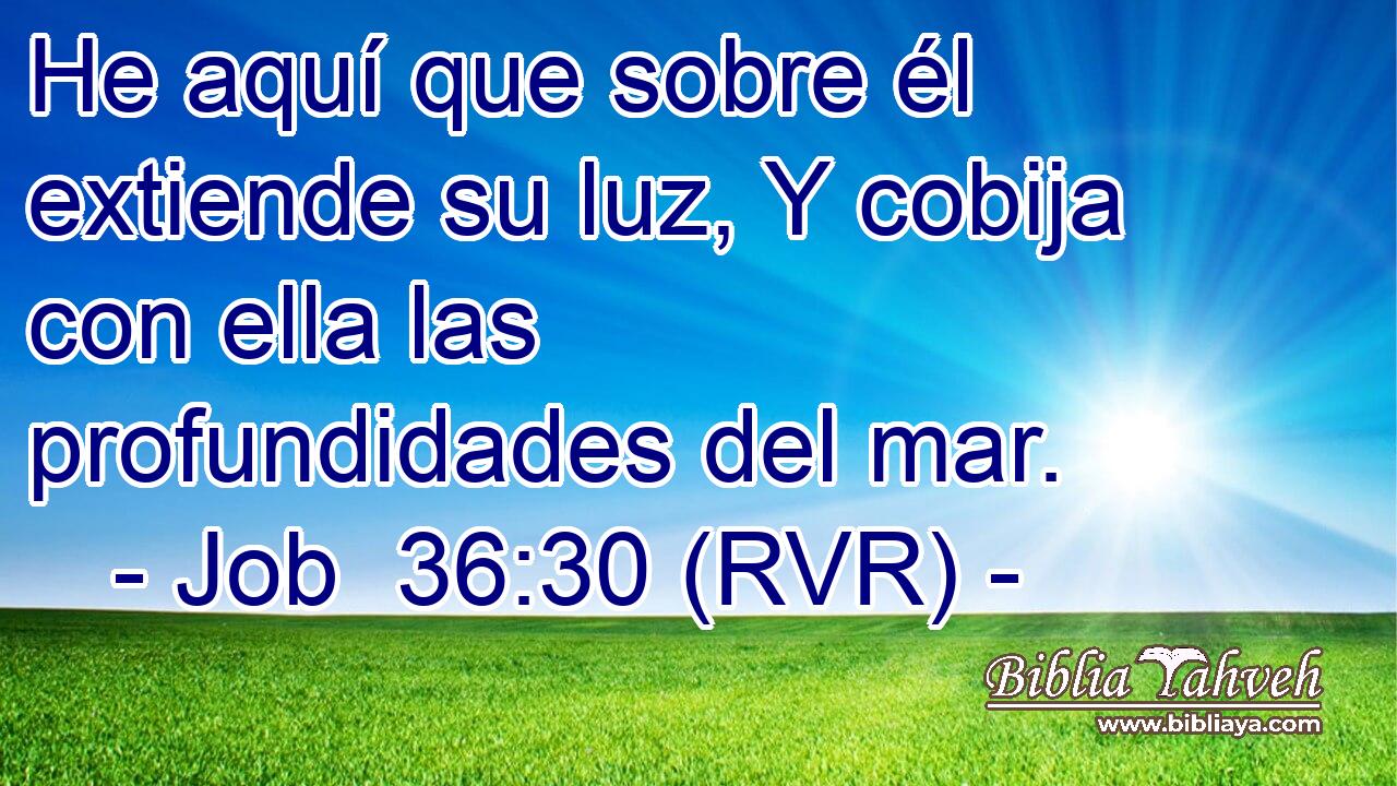 He aquí que sobre él extiende su luz, Y cobija con ella las profundidades del mar.