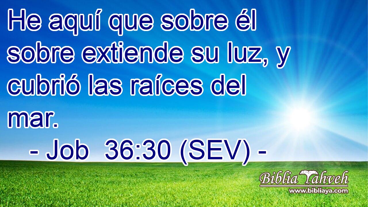 He aquí que sobre él sobre extiende su luz, y cubrió las raíces del mar.
