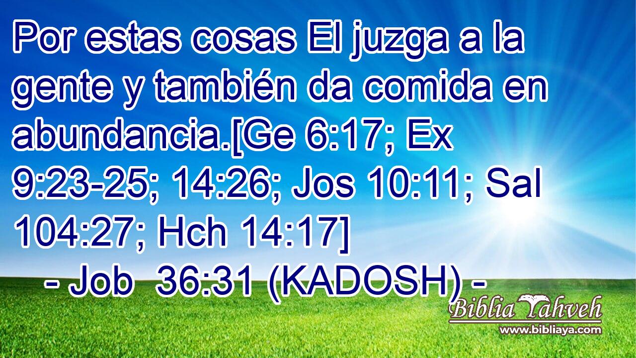  Por estas cosas El juzga a la gente y también da comida en abundancia.[Ge 6:17; Ex 9:23-25; 14:26; Jos 10:11; Sal 104:27; Hch 14:17] 