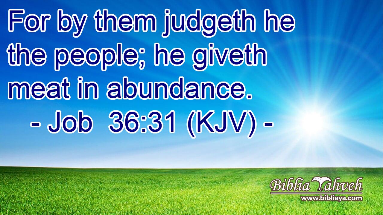 For by them judgeth he the people; he giveth meat in abundance.
