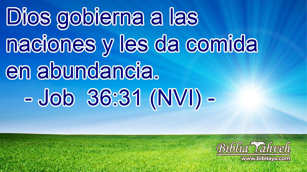  Dios gobierna a las naciones y les da comida en abundancia. 