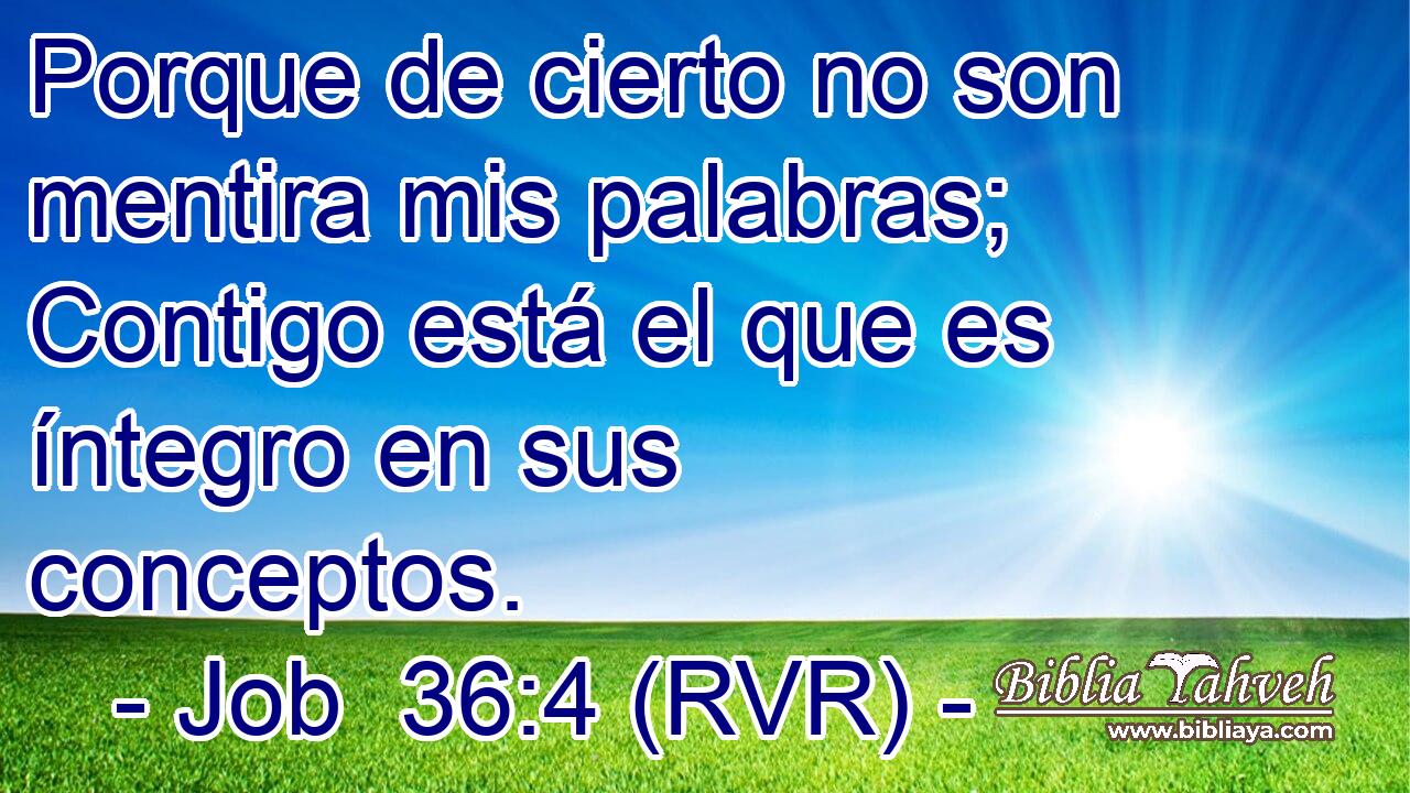 Porque de cierto no son mentira mis palabras; Contigo está el que es íntegro en sus conceptos.