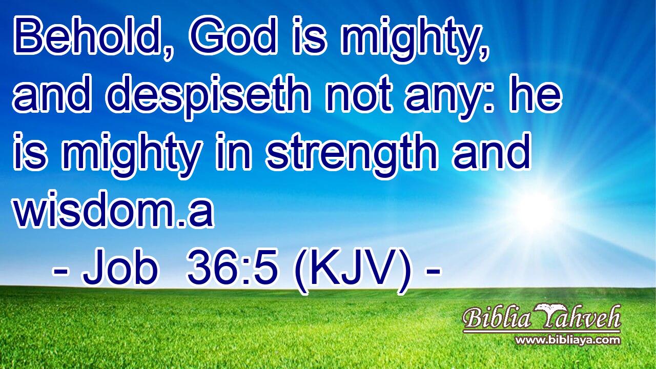 Behold, God is mighty, and despiseth not any: he is mighty in strength and wisdom.a