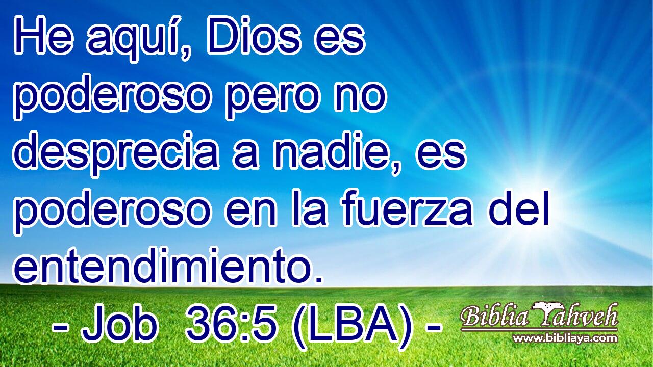 He aquí, Dios es poderoso pero no desprecia a nadie, es poderoso en la fuerza del entendimiento.