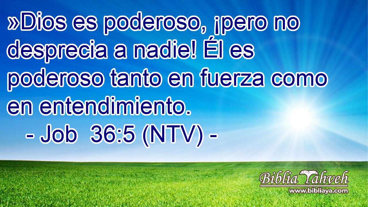 »Dios es poderoso, ¡pero no desprecia a nadie! Él es poderoso tanto en fuerza como en entendimiento.
