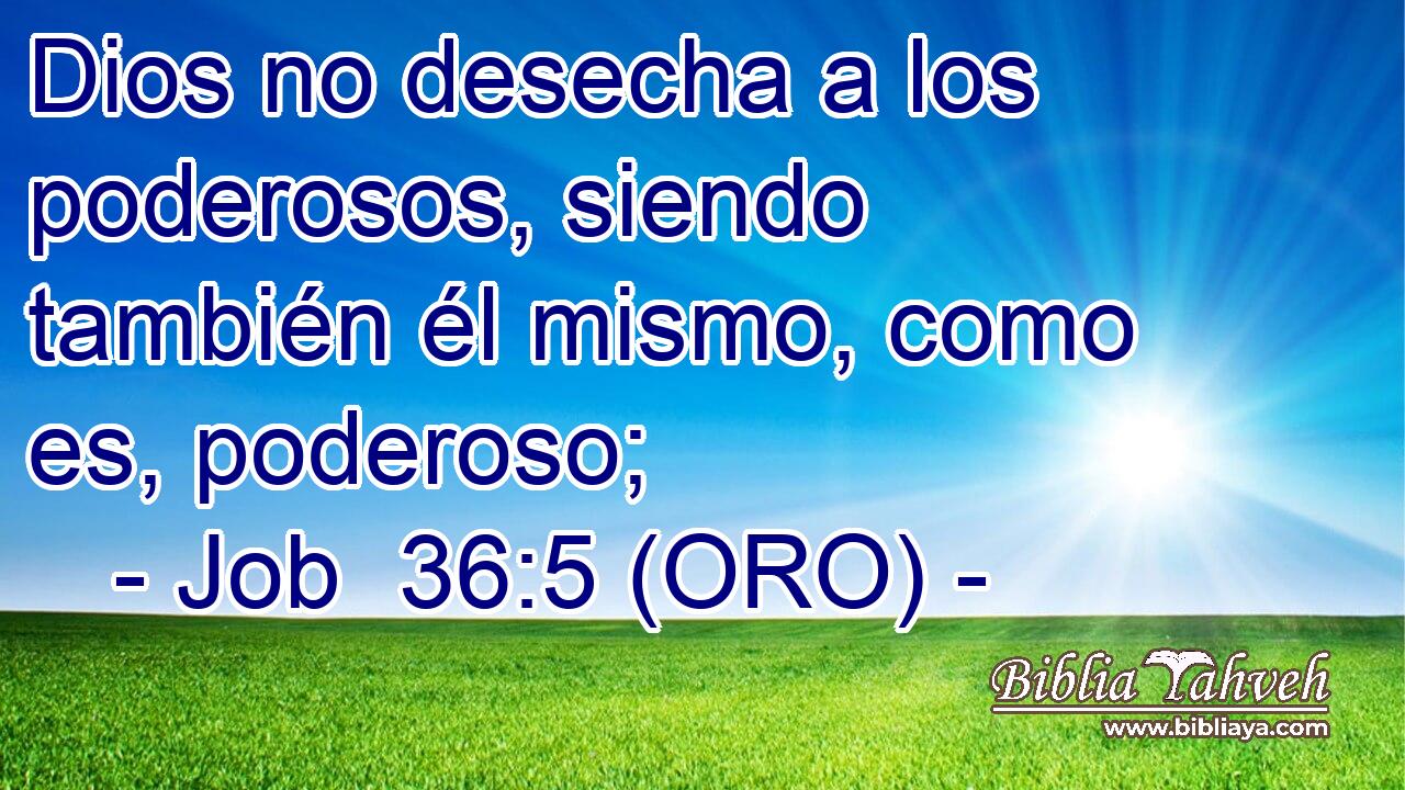  Dios no desecha a los poderosos, siendo también él mismo, como es, poderoso; 
