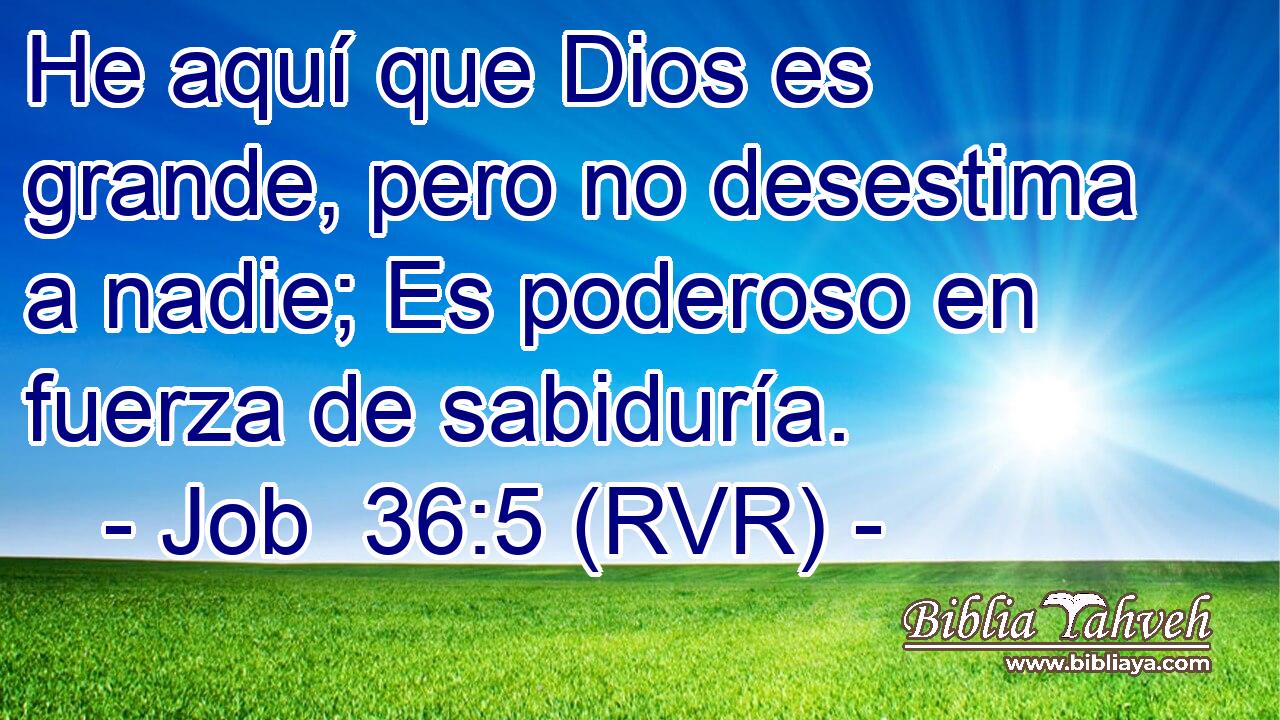 He aquí que Dios es grande, pero no desestima a nadie; Es poderoso en fuerza de sabiduría.