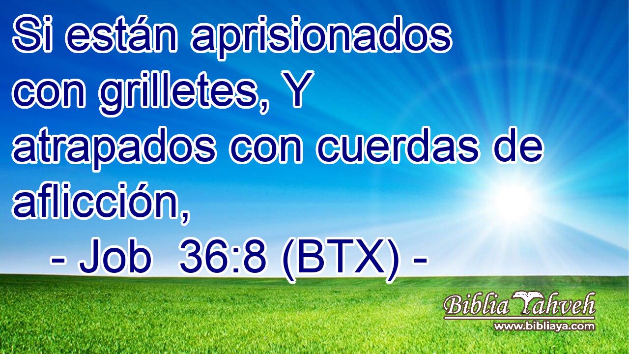 Si están aprisionados con grilletes, Y atrapados con cuerdas de aflicción,
