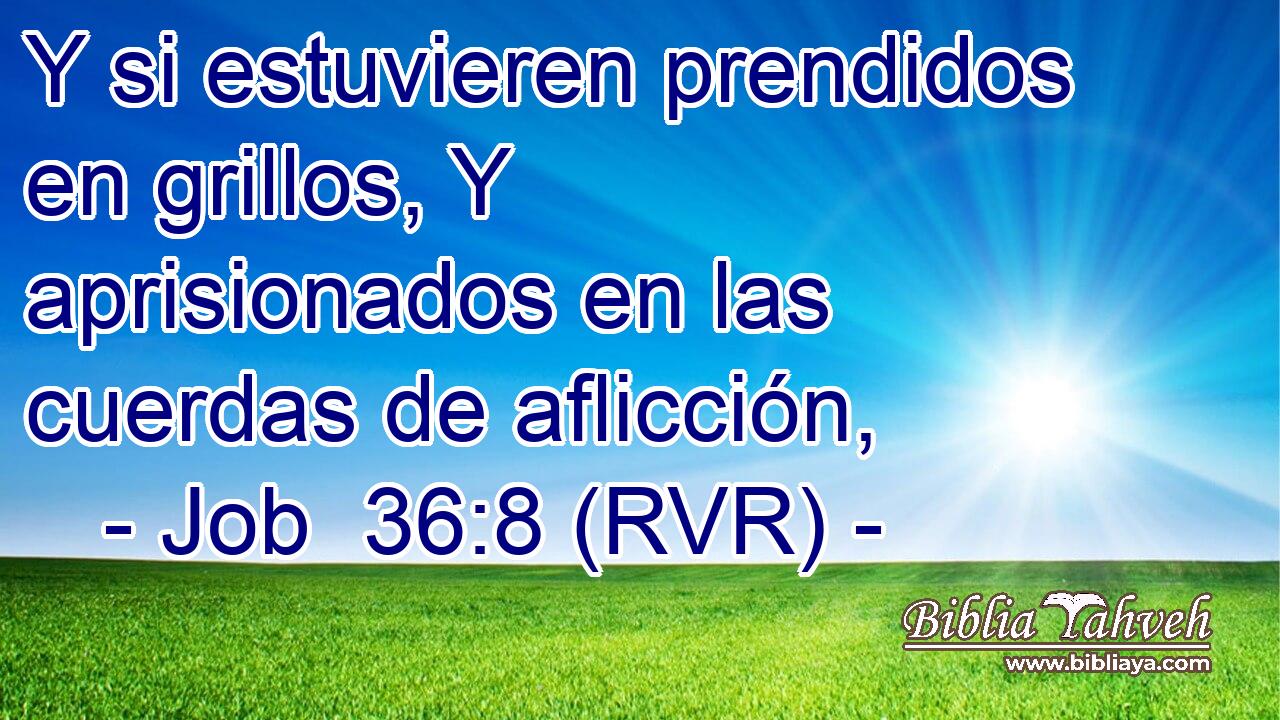 Y si estuvieren prendidos en grillos, Y aprisionados en las cuerdas de aflicción,