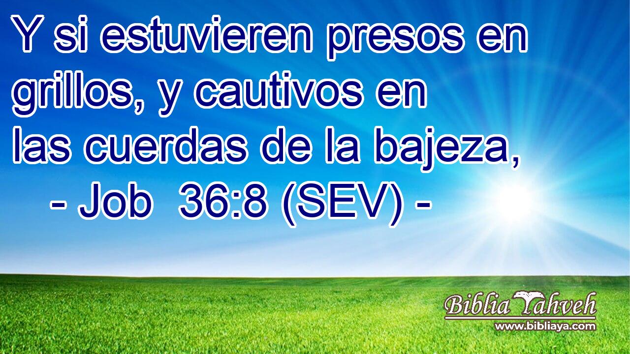 Y si estuvieren presos en grillos, y cautivos en las cuerdas de la bajeza,