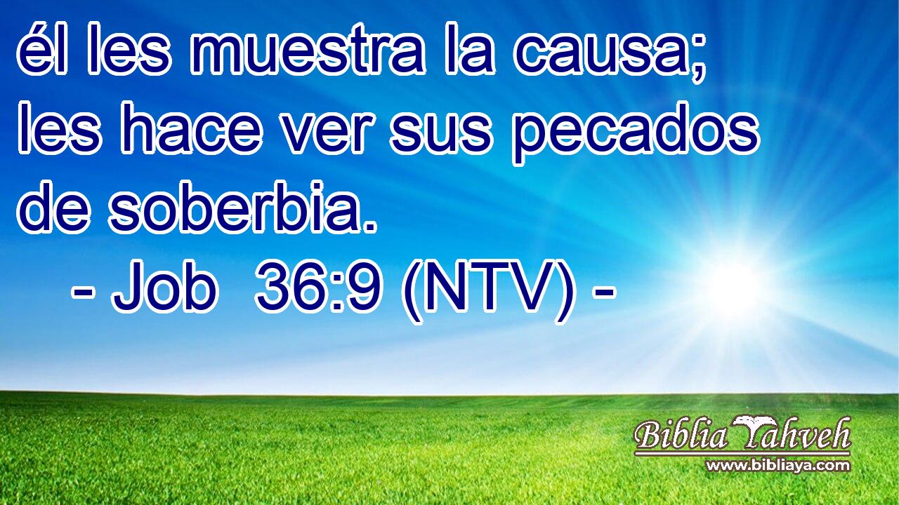él les muestra la causa; les hace ver sus pecados de soberbia.