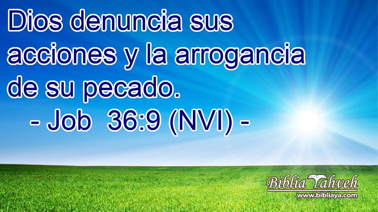 Dios denuncia sus acciones y la arrogancia de su pecado. 