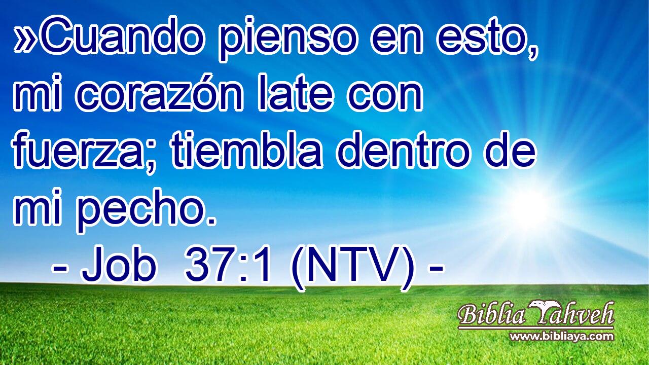 »Cuando pienso en esto, mi corazón late con fuerza; tiembla dentro de mi pecho.